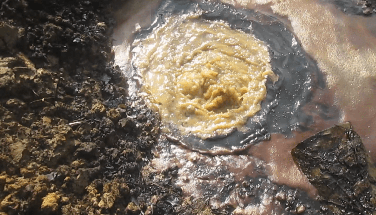 Oil & Gas: Nigerian Government Shuts Down Operations At Santa Barbara Oilfields